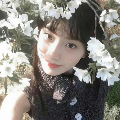 小猪佩奇第五季